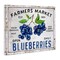 Stupell Industries Farmers Market Blueberries Canvas Wall Art Design by Creatif Belle